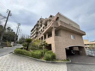 ジュリオ朝霧の画像