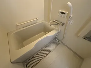 ワインウェル【502号室】の風呂