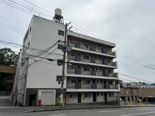 ソフィア朝霧の画像