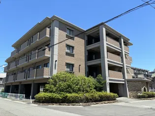 ル ソレイユの画像