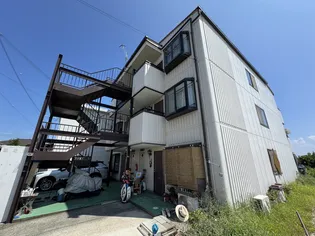 ファミールSの画像