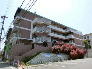 サントロペの画像