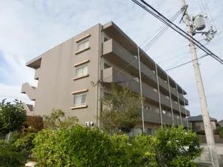 カーサベガの画像