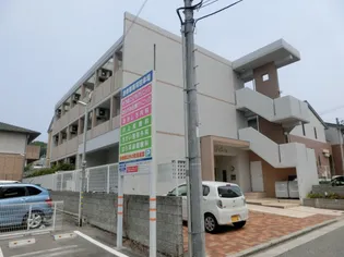 フェリーチェスの画像