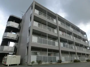 エグゼカーサの画像