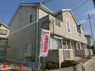 たちばなの画像