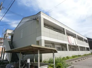 ネオパリエBの画像