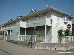 サンカレッジの画像