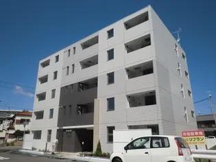 ファレノプシスの画像