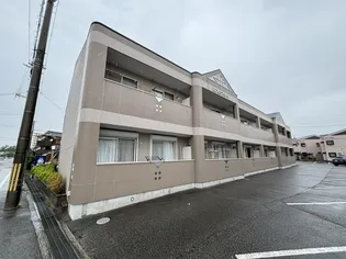 フェリスカーザの画像