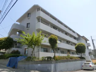 ステューディオ46の画像