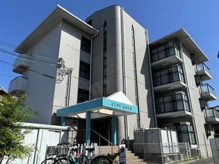 シティゴールドの画像