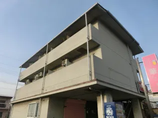 キャメルコートの画像