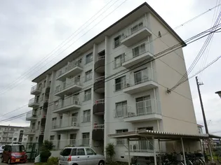 育英ハイツ C棟【201号室】の外観