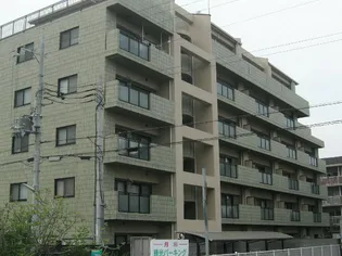 スクェア ヴィレッジの画像