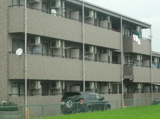 神戸サンロータスの画像