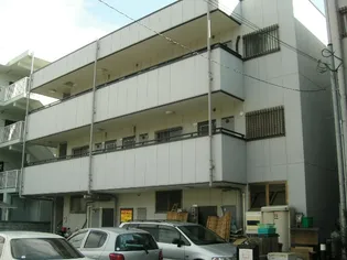 バージンブリッジの画像