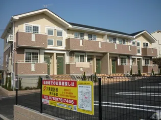 マウントック リリーの画像