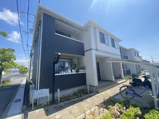 エルシオン Fの画像