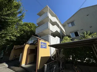 アンペリエの画像