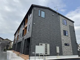 サンフラワーの画像