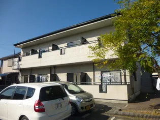 トラミッド友栄の画像