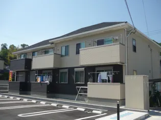 ベイローレルの画像