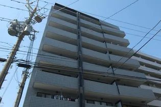 ブルーエスの画像