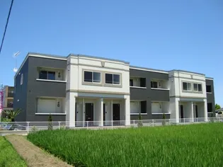 プルメリアの画像