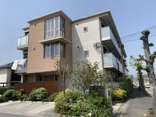 シャーメゾンきたの画像