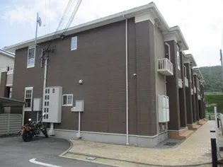 プリムローズの画像