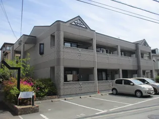 GRACIA MORIKAWAの画像