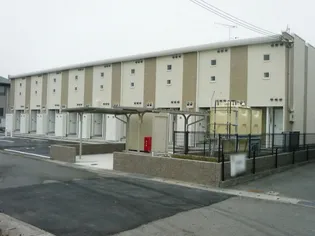 レオネクストM&Mの画像