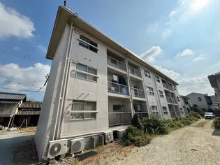 サン フィールドの画像