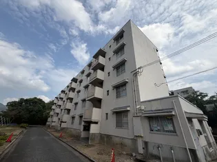 ビレッジハウス柏原の画像