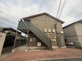 プラシードの画像