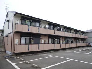 ベルセゾンミキの画像