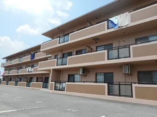 ヌーベ ゆらのの画像