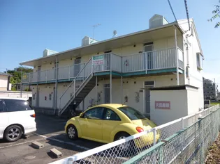 アプリコットKの画像