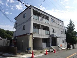 アゼリアの画像