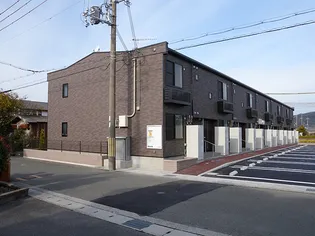 レオネクストジュヌ エルブの画像