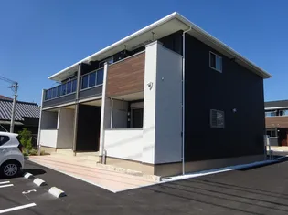 メイベリーナⅡの画像