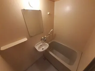 フラッツネオシティー【102号室】の風呂