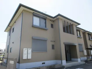 アイランドの画像