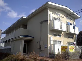 ル ヴァン アヴニールの画像