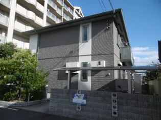 コモド恵美酒の画像