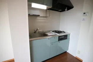 サルドセジュール【203号室】のキッチン