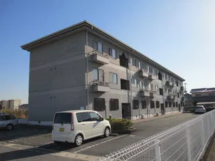 TSコスモスの画像