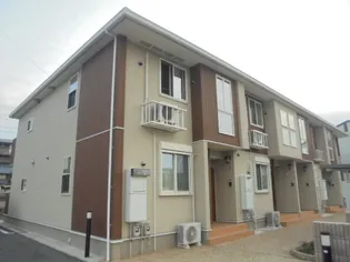 プリムローズの画像