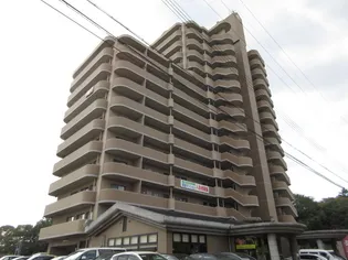 手柄アートスカイハイツの画像